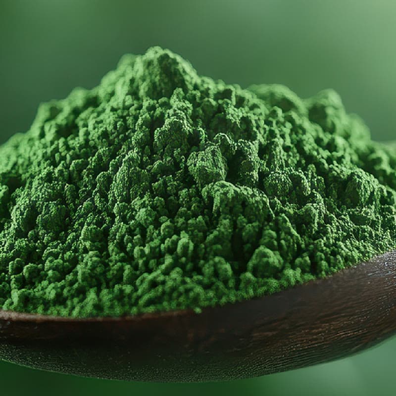Bubuk spirulina hijau tua menumpuk di sendok kayu, dari dekat